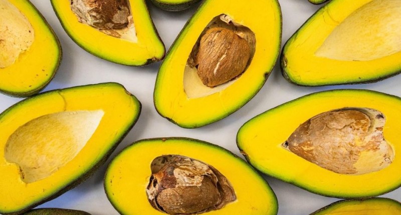 MÁS DE 127 MIL TONELADAS DE AGUACATE MEXICANO VUELVEN A HACER TOUCHDOWN EN SUPER BOWL 2026