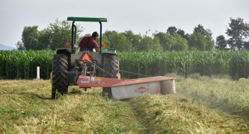 ACERCAN PROGRAMAS DEL CAMPO 2026 A PRODUCTORAS Y PRODUCTORES DE COMUNIDADES RURALES DE AGS