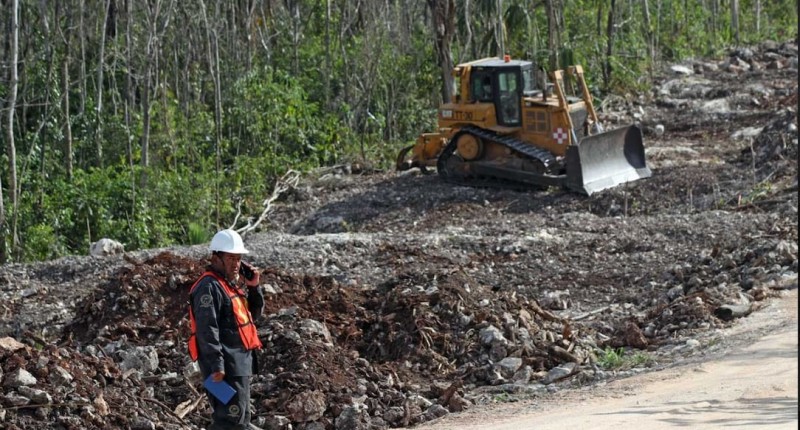 SUSPENDEN OBRAS DEL TRAMO 5 DEL TREN MAYA; TRIBUNAL DETERMINA DAÑOS AMBIENTALES