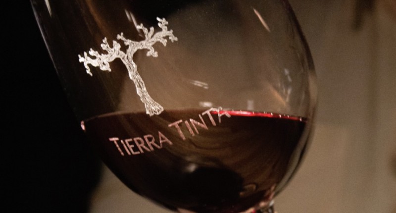 VIDEO| 8 ETIQUETAS DE VINO OFRECE ACTUALMENTE TIERRA TINTA AL PÚBLICO CONSUMIDOR 