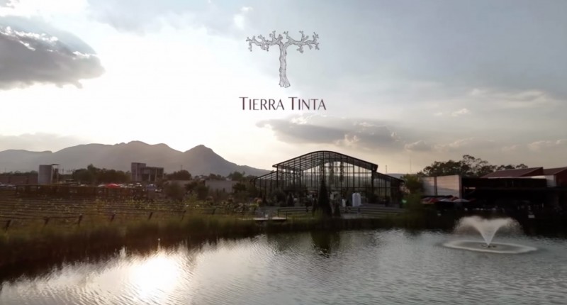 VIDEO| VINÍCOLA TIERRA TINTA OFRECE DOS LUGARES PARA QUE TU EVENTO SEA COMO LO SOÑASTE 