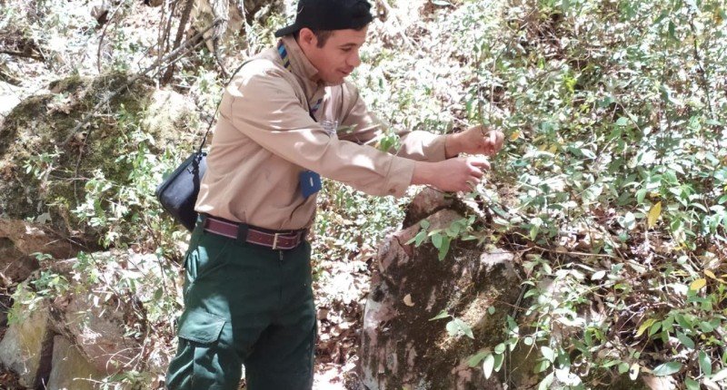 EN AGS ABREN INSCRIPCIONES A MÁS DE 350 CURSOS; APRENDE UN OFICIO Y EMPRENDE TU PROPIO NEGOCIO 