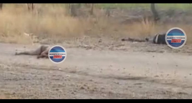 LOCALIZAN EN PABELLÓN DE ARTEAGA LOS CUERPOS SIN VIDA DE UN HOMBRE Y UNA MUJER  CON EL TIRO DE GRACIA 