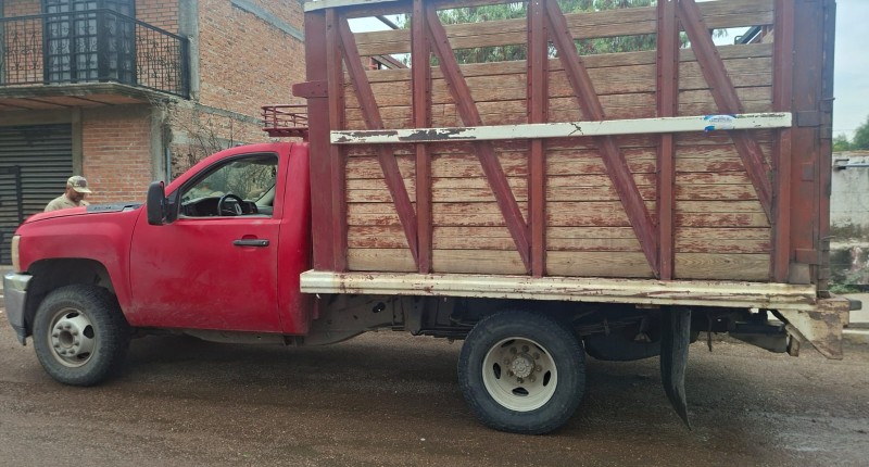 ASEGURAN DOCE CABEZAS DE GANADO EN PABELLÓN DE ARTEAGA DEBIDO A QUE ERAN MOVILIZADAS SIN GUIA DE TRASLADO