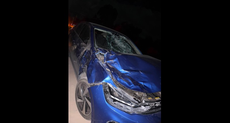 VEHÍCULO SE IMPACTO CONTRA UN CABALLO EN RINCÓN DE ROMOS; CONDUCTOR RESULTÓ ILESO