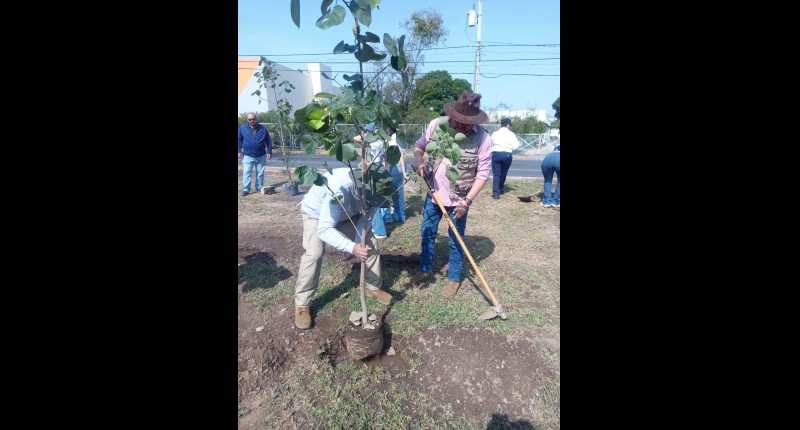 FORTALECE MUNICIPIO ARBOLADO URBANO Y MEDIO AMBIENTE CON REFORESTACIÓN EN BLVD. JOSÉ MARÍA CHÁVEZ