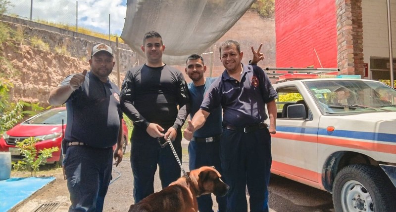 BOMBEROS DE CALVILLO RESCATAN A UN PERRITO DE UN POZO DE 30 METROS DE PROFUNDIDAD