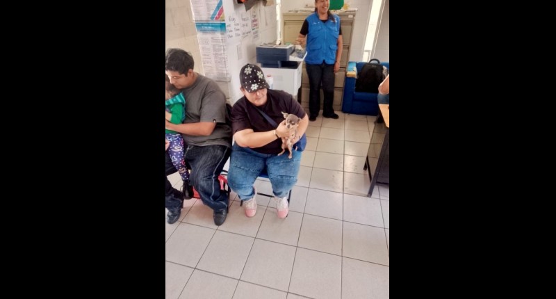 ABREN MUNICIPIO DE AGUASCALIENTES E ISSEA NUEVA FECHA PARA JORNADA DE ESTERILIZACIÓN DE MASCOTAS