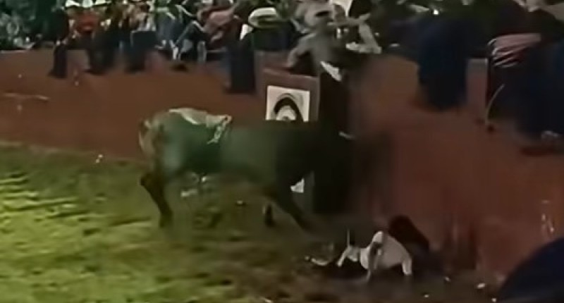NIÑA DE SEIS AÑOS SALE BIEN LIBRADA TRAS CAER AL RUEDO DURANTE UN RODEO EN YUCATÁN l VIDEO