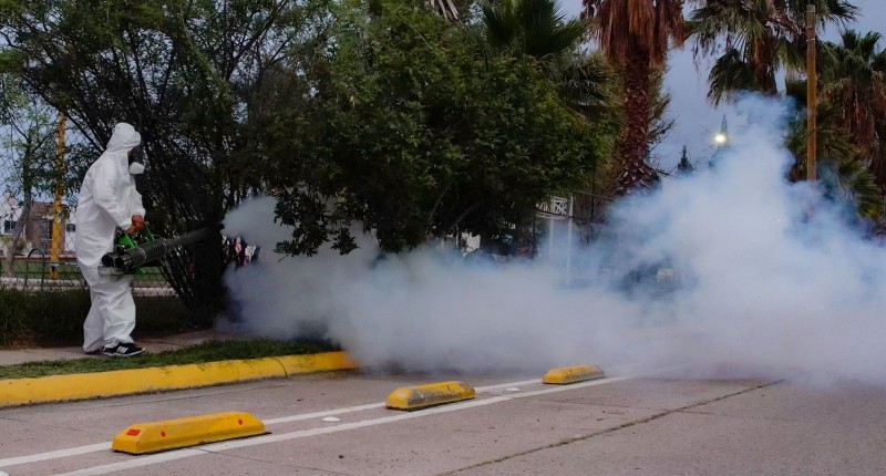 REFUERZA SECRETARÍA DE SALUD ACCIONES PREVENTIVAS CONTRA EL DENGUE EN AGUASCALIENTES