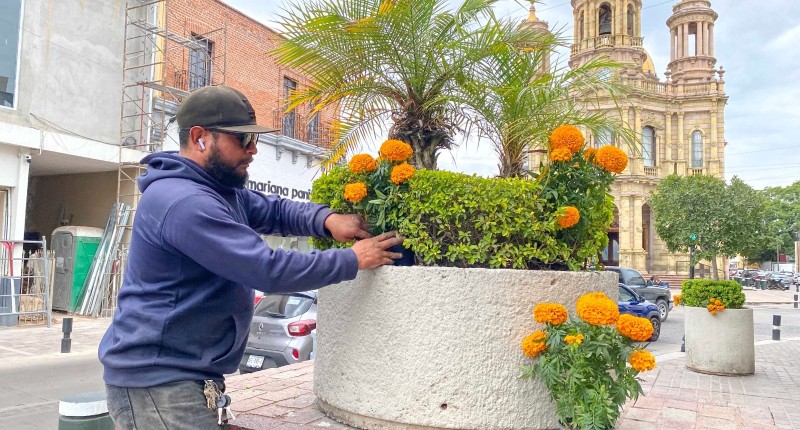 MUNICIPIO DE AGUASCALIENTES COLOCA MILES DE FLORES DE CEMPASÚCHIL EN CONMEMORACIÓN AL DÍA DE MUERTOS 